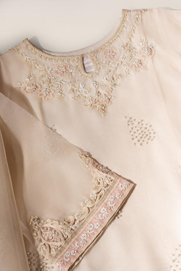 Agha Noor - 3 PC Organza Dress