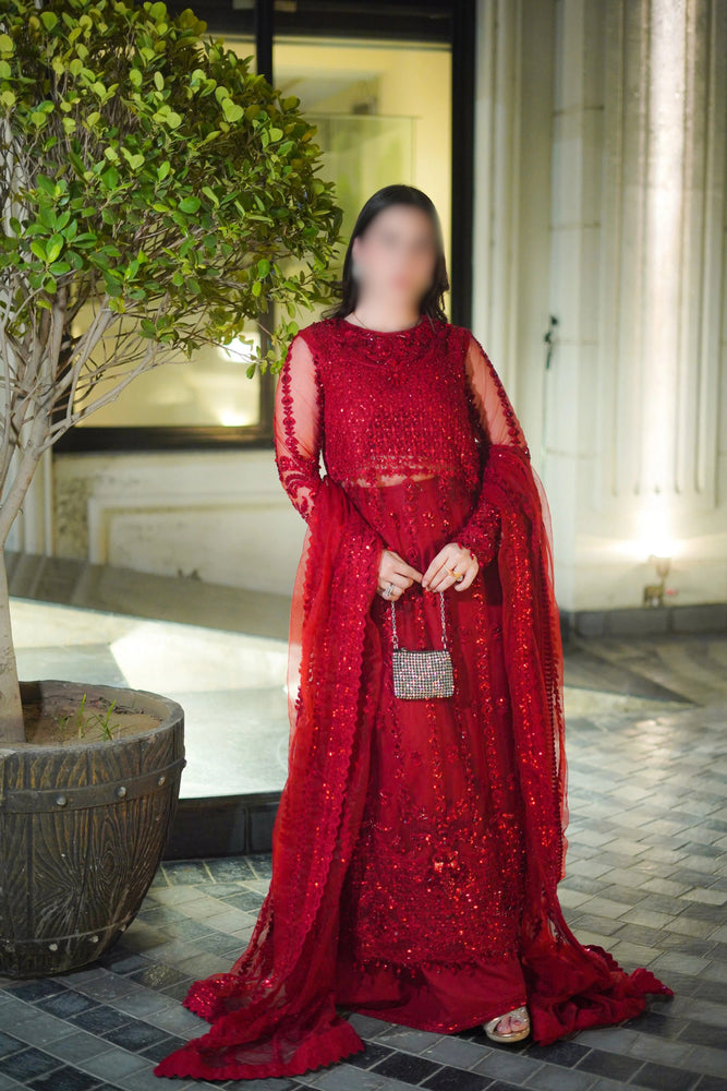 Aneelas Net Hand Embellished & Embroidered 3 Piece Dress - J0466