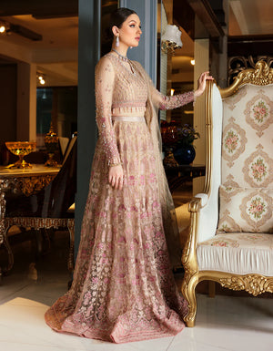 
            
                Load image into Gallery viewer, Emaan Adeel Mirha Wedding Edition Net Maxi - 09520
            
        