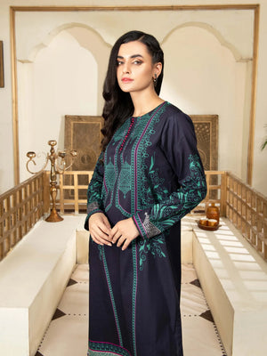 Lime Light Embroidered Dhanak 2 pc - 09739