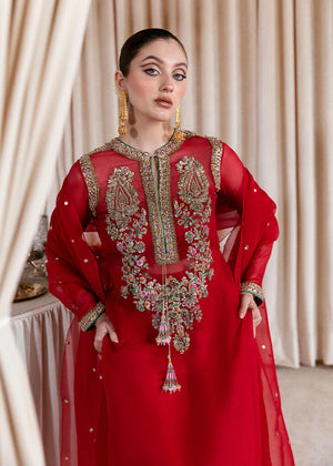 Hussain Rehar SEVGI Organza 3 Piece - 11078