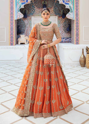 Kanwal Malik - Vistas Of Jaipur KESAR Organza Maxi - 09980