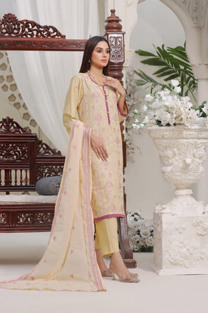 
            
                Load image into Gallery viewer, Fatima Noor Winter Collection Embroidered Cotton 3 pc - 09599
            
        