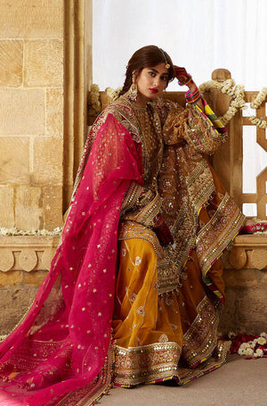 Mohsin Naveed Ranjha Sagar Kinare KESARI Organza Maxi - 09977