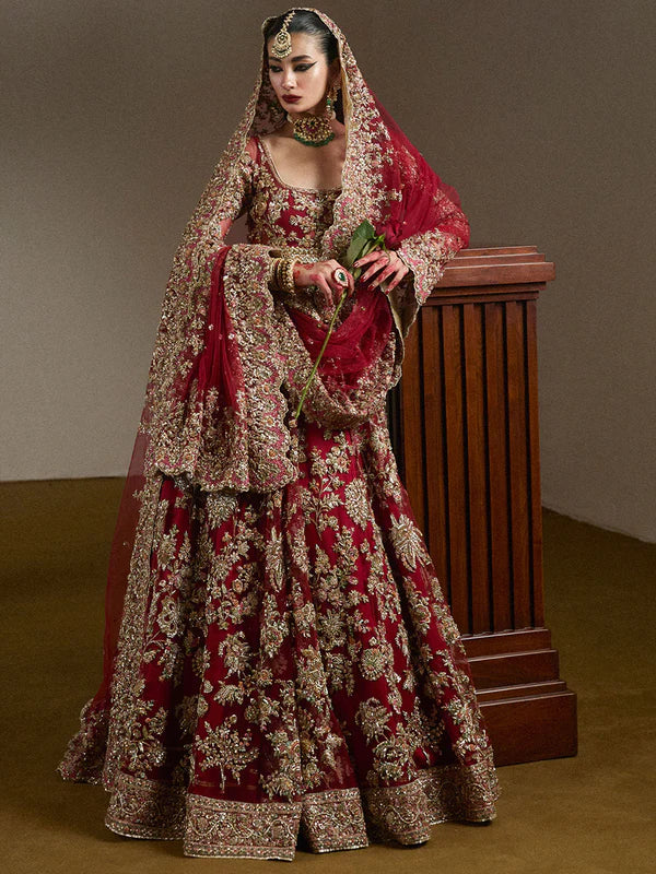 Hussain Rehar Net Hand Embellished & Embroidered Maxi - J0220