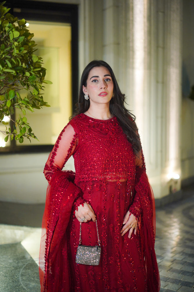 Aneelas Net Hand Embellished & Embroidered 3 Piece Dress - J0466