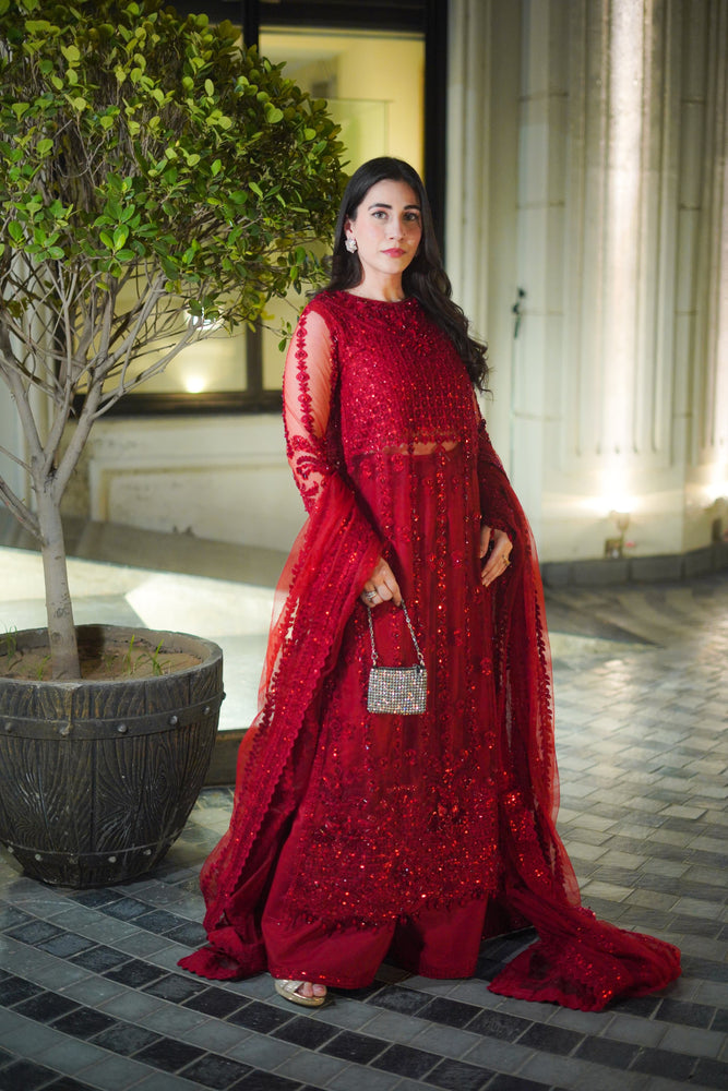 Aneelas Net Hand Embellished & Embroidered 3 Piece Dress - J0466