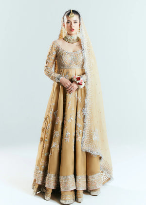 Hussain Rehar AETHER Organza 3 Piece - 20165