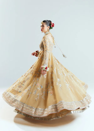 Hussain Rehar AETHER Organza 3 Piece - 20165