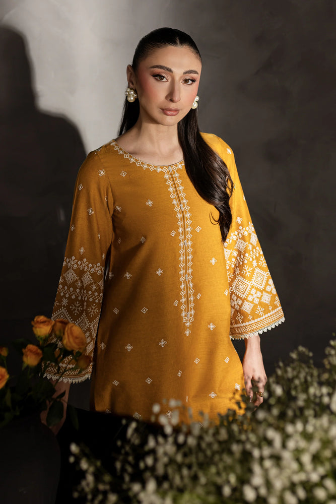 Alkaram Embroidered Dhanak Winter 2 Piece Dress - J0636