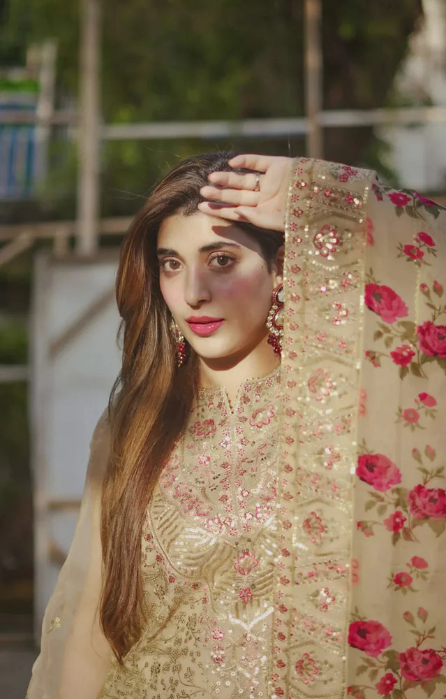 Aneelas Organza Embroidered 3 Piece Dress - J0756