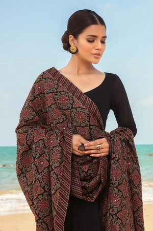 Bareeze 01649- Karandi shawl